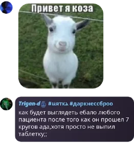 🚵‍♂️ emoji Зᴀᴨᴧᴇᴄнᴇʙᴇᴧый ɸᴧуд pack by @QuotLyBot Telegram sticker 7 of 120