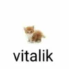 😁 emoji vitalik ➡️ @Ctikerubot Telegram sticker 7 of 8