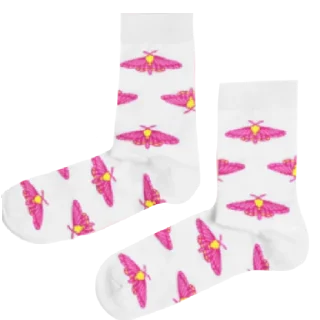 🧦 emoji 🩷Мерч Бридж🩷 Telegram sticker 9 of 17