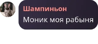 👨‍🚒 emoji Браточки Моника😈 pack by @QuotLyBot Telegram sticker 21 of 120