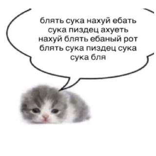 Sticker from Ватафак