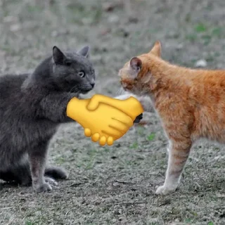 🤝 emoji wasntme Telegram sticker 2 of 57