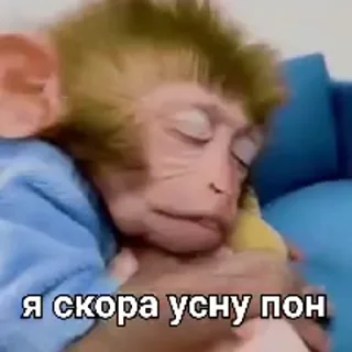🐒 emoji Создано в @sozdsti_bot Telegram sticker 14 of 50