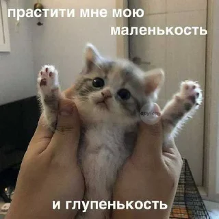 😒 emoji хагиваги01 ➡️ @Ctikerubot Telegram sticker 7 of 120