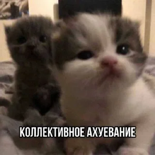 😍 emoji хагиваги01 ➡️ @Ctikerubot Telegram sticker 16 of 120