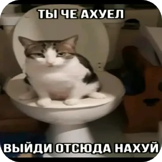 🐱 emoji Яблойд Telegram sticker 18 of 35