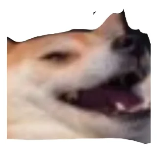 😄 emoji Happy wolf 3 Telegram sticker 6 of 60