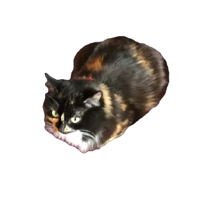 🫥 emoji Феня 🩷 Telegram sticker 9 of 29