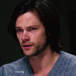 😢 emoji белка и лось Telegram sticker 18 of 72