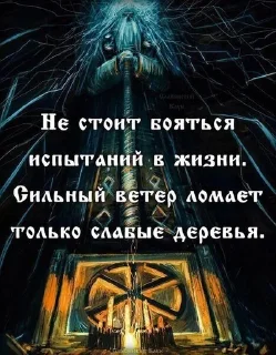 💪 emoji Славяно-арийская мудрость Telegram sticker 15 of 40