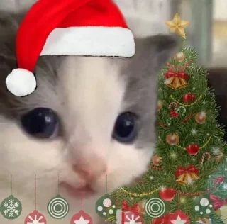 😍 emoji Принимайте бадизм Telegram sticker 13 of 25