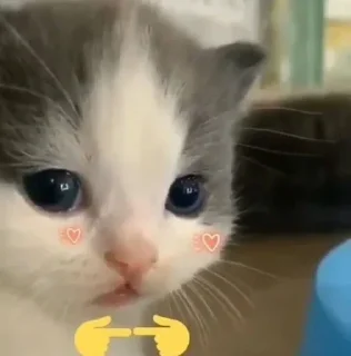 😍 emoji Принимайте бадизм Telegram sticker 11 of 25