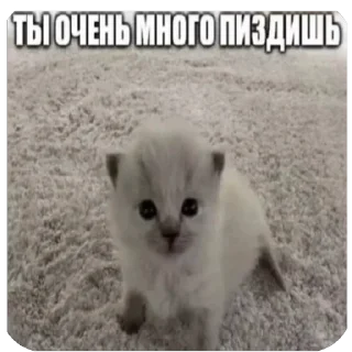 🤫 emoji яна солях Telegram sticker 1 of 81