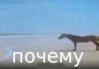 🧐 emoji хорошие стикеры Telegram sticker 7 of 10