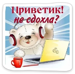 Sticker from мяу