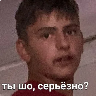 😯 emoji Бродяги Telegram sticker 7 of 120