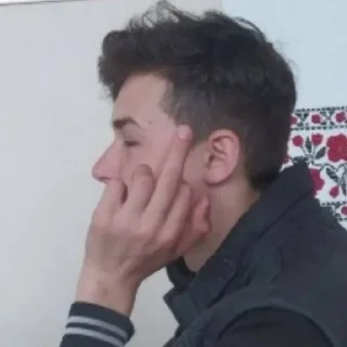🖕 emoji Бродяги Telegram sticker 9 of 120