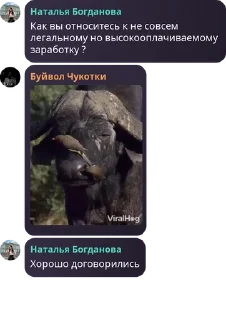 Sticker from Ванеркисты 🇺🇿 pack by @QuotLyBot
