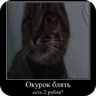 Sticker from кузя @BobrikLega2