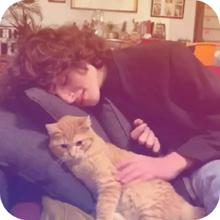 🐱 emoji Мне нравится, так нравится Telegram sticker 13 of 31
