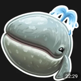 Sticker from солянка