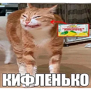 😝 emoji БОЛЬШЕ ⇨ @CLOOBHUB МЕМНЫЕ СТИКЕРЫ ДЖОДЖО КОИЧИ ТГ Telegram sticker 23 of 33