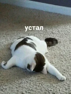 🥺 emoji ы Telegram sticker 18 of 79