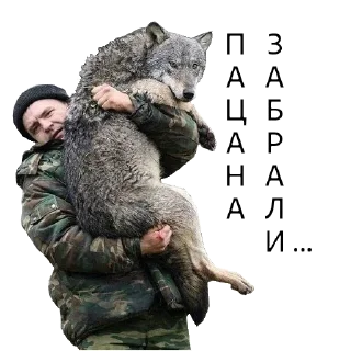 🏳️ emoji ВОЛК НЕ ВОРК Telegram sticker 7 of 20