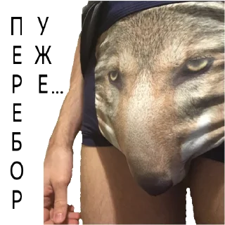 😳 emoji ВОЛК НЕ ВОРК Telegram sticker 18 of 20