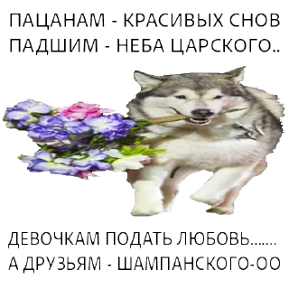 🙏 emoji ВОЛК НЕ ВОРК Telegram sticker 8 of 20