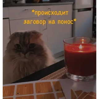 💟 emoji ✨🧡 Пух 🧡✨ Telegram sticker 7 of 30