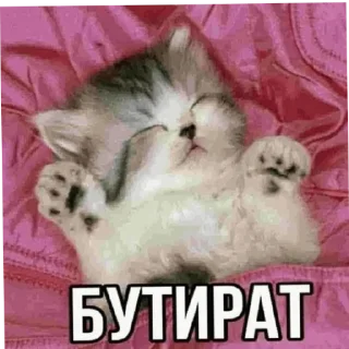🤡 emoji Мудрый пак @ihpso Telegram sticker 17 of 21
