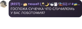 👩‍🎨 emoji чатик хейтеров pack by @QuotLyBot Telegram sticker 24 of 120