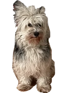 Sticker from мефедроновый демон
