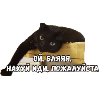 🖕 emoji Больше стикеров в @stikerfox Telegram sticker 14 of 65