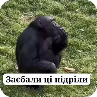 🚬 emoji Манкі Тт Telegram sticker 14 of 120