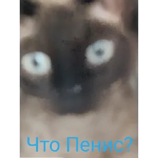 Sticker from Пенис