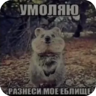 🖼 emoji писька Telegram sticker 8 of 39