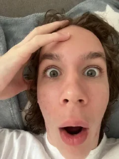 😲 emoji Медвежья будка Telegram sticker 10 of 32