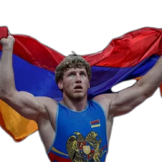 🇦🇲 emoji Անջելինա Telegram sticker 22 of 26