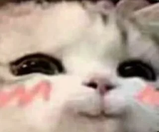 🥰 emoji for gülü Telegram sticker 4 of 21