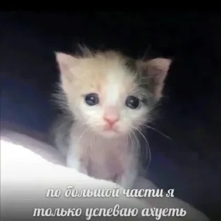 😱 emoji Стикеры уебана Telegram sticker 12 of 85