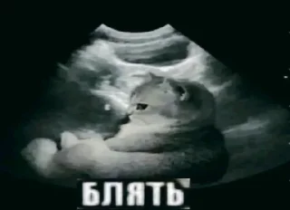🙀 emoji Стикеры уебана Telegram sticker 6 of 85