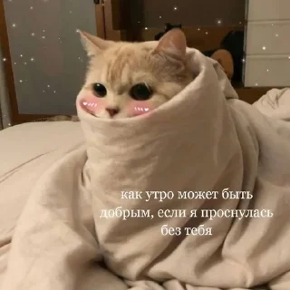 🥺 emoji Пикчи💗 Telegram sticker 22 of 34