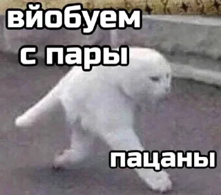 🤫 emoji нормальный стикерпак Telegram sticker 5 of 16
