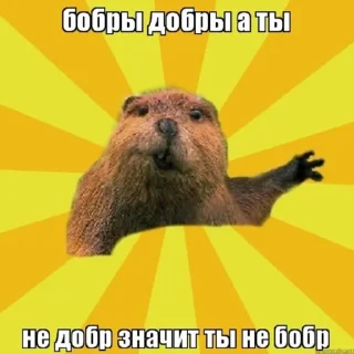 Sticker from БОБРЫ