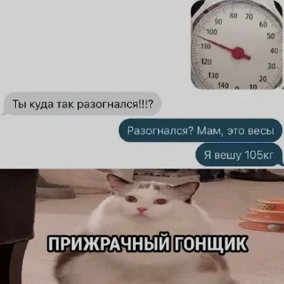 Sticker from Мемы часть 1 https://t.me/er_9_tm @TgEmodziBot