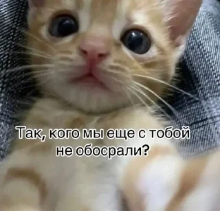 🌟 emoji Солнышко Telegram sticker 18 of 22