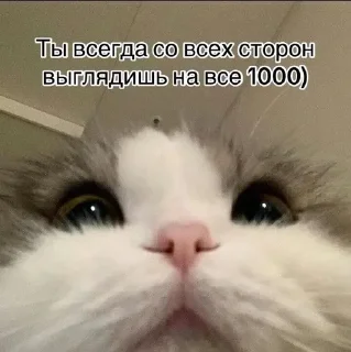 🌟 emoji Солнышко Telegram sticker 13 of 22