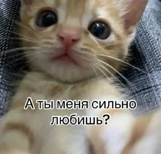 🌟 emoji Солнышко Telegram sticker 7 of 22